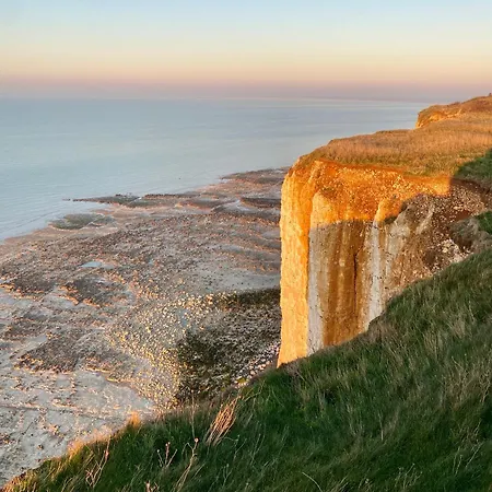App Marguerite - Bon Accueil Proche